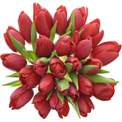 Kytice 25 červených tulipánů 30cm – Zboží Mobilmania