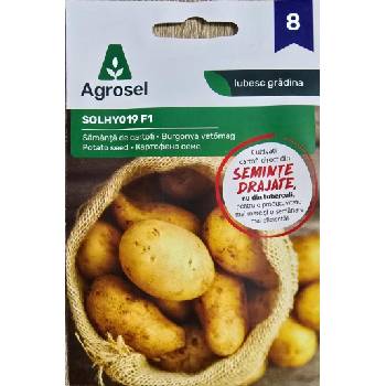 Image 1 of Agrosel Картофено семе F1 Solanum tuberosum