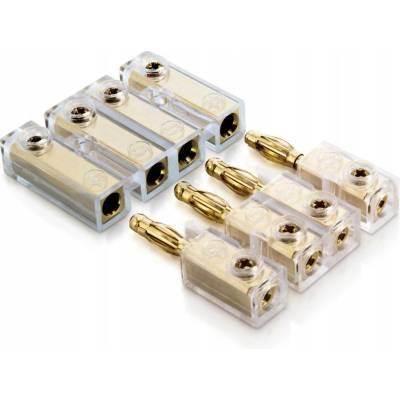 Sinus Live BC-4