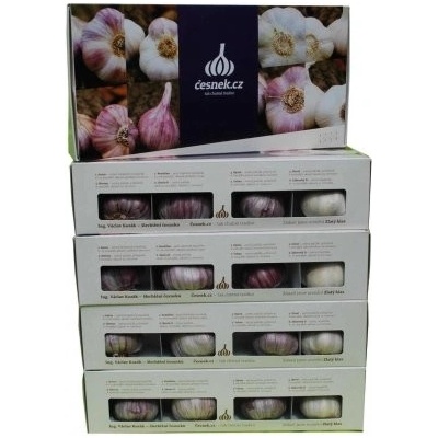 Český sadbový česnek 8 odrůd v krabičce – Zboží Dáma