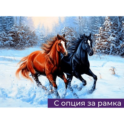 Диамантен Гоблен "Галоп" - 40 x 50 см, Кръгли мъниста
