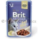 Krmivo pro kočky Brit cat Premium Fillets jelly Beef 85 g