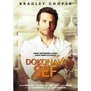 Dokonalý šéf DVD