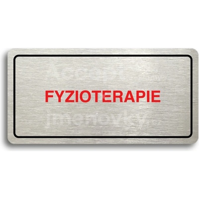 ACCEPT Piktogram FYZIOTERAPIE - stříbrná tabulka - barevný tisk