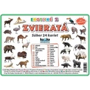 Súbor 24 kariet zvieratá exotické 2