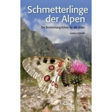 Schmetterlinge der Alpen