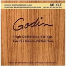 Godin Strings Acoustic Guitar XLT