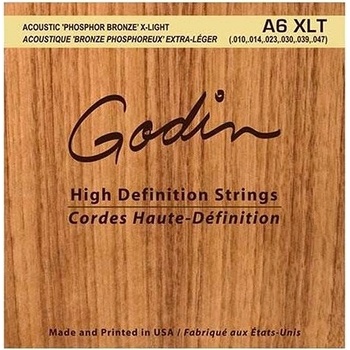 Godin Strings Acoustic Guitar XLT