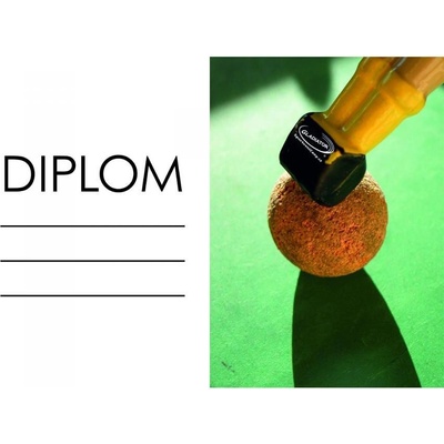 DS04c Diplom stolní fotbal