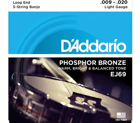 D'addario EJ69