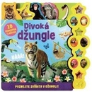 Džungle