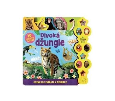 Džungle