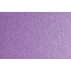 Fabriano Картон Colore, 50 x 70 cm, 200 g/m2, № 244, виолетов (42303244/2_VIOLETTA)