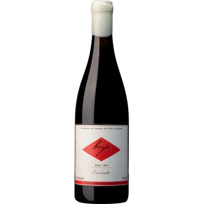 Envinate Benje Tinto 2024 Červené 12,5% 0,75 l (holá láhev)
