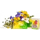 Rigasoap mydlo Jarná vôňa 100 g