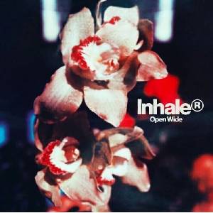 Inhaler - Open Wide (CD) (0602475097204)