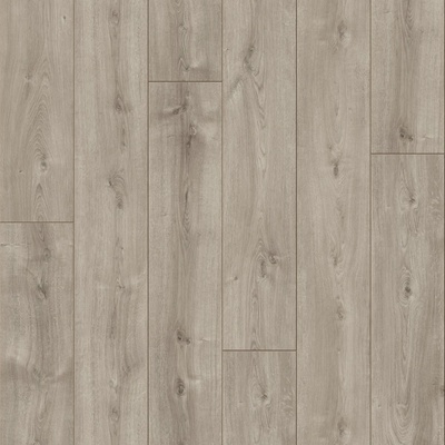 Parador Trendtime 6 Dub Askada biely bielený 1567470 2,673 m²