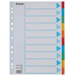 ESSELTE Регистър, картон, А4, 10 броя, с предна част за писане, ESSELTE "Standard", цвят 100193 (100193)