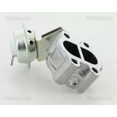 TRISCAN AGR ventil TRI 8813 13060