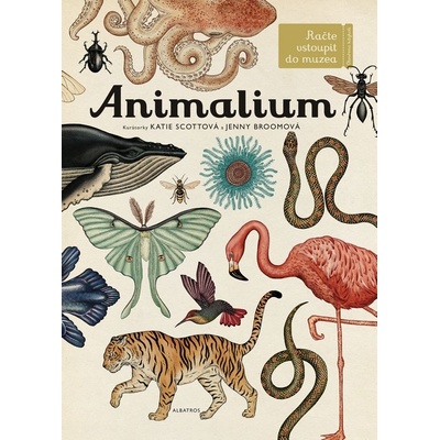 Animalium - Jenny Broom, Katie Scott ilustrátor