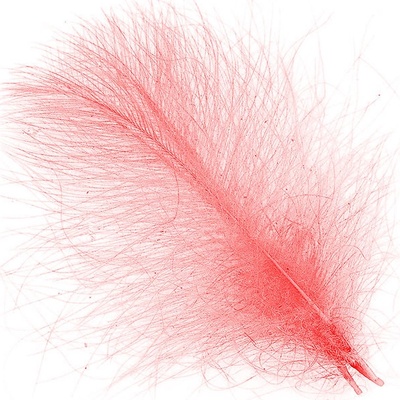 Hends CDC Peří Feathers Salmon 1g