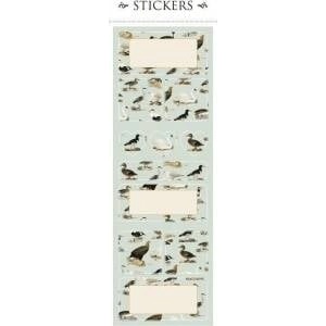 Skona Ting Decorative stickers ST161-6 birds 2 sheets