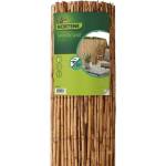 NORTENE Тръстикова ограда 2 х 5 м. - naturcane
