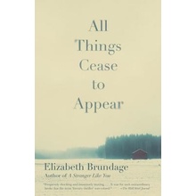 All Things Cease to Appear Brundage ElizabethPaperback