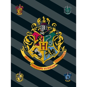 Jerry Fabrics Бебешко одеяло от флийс 100x150 cm Harry Potter - Jerry Fabrics (21BL096)