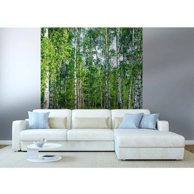 Dimex MS-3-0100 vliesová fototapeta na zeď Březový háj rozměry 225 x 250 cm