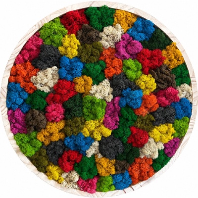 Machový kruh - Rainbow Veľkosť rámu: 30cm