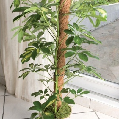 Kokosová tyč ø45mmx1,5m