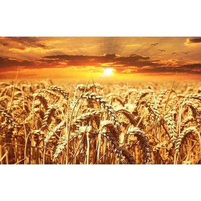 Bondecor Obraz, tištěné plátno Sun 70 x 110 cm