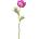 Bizzotto ИЗКУСТВЕНО ЦВЕТЕ anemone 30cm ЛИЛАВО (0171757)