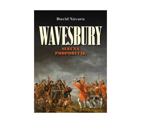 Wavesbury - David Návara