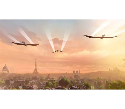 Eagle Flight