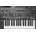 Roland SH-101