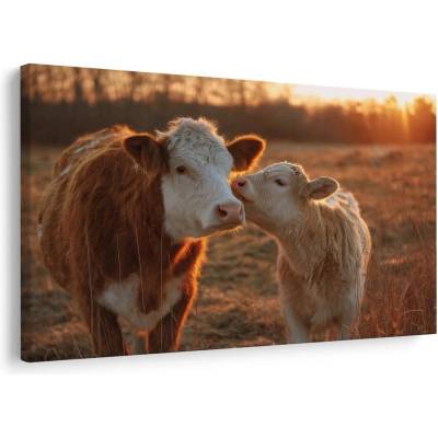 Obraz západ slunce na pastvině - 30x20