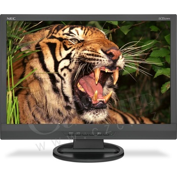NEC 22WV