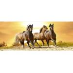 DIMEX ART Панорамни флизелинов фототапет коне при залез слънце 375 x 150 см