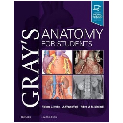 Gray s Anatomy for Students - Richard Drake A Wayne Vogl Adam W M Mitchell