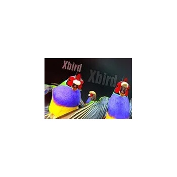 Xbird