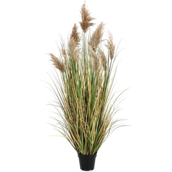 Bizzotto Растение Gynerium Pampas с ваза, височина 150 см (0173024)