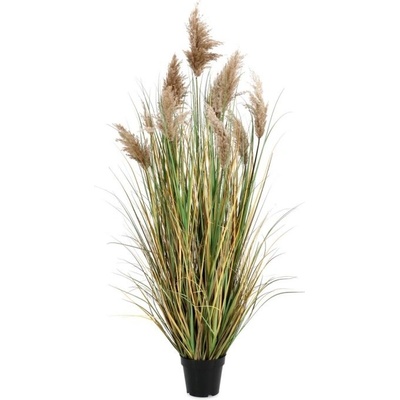 Bizzotto Растение Gynerium Pampas с ваза, височина 150 см (0173024)