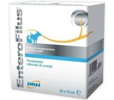 Enterofilus 12 x 10ml