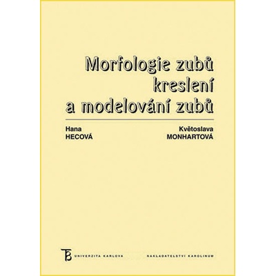 Morfologie zubů. Kreslení a modelování zubů