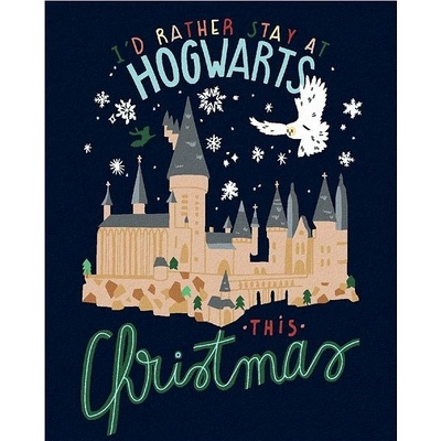 zuty Malování Podle Čísel Vánoce V Bradavicích Harry Potter 40 x 50 Cm Plátno