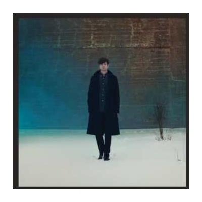 2 James Blake - Overgrown LP