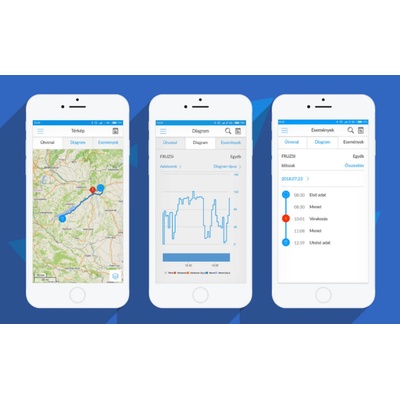 FLEXCOM FC6MEX лиценз за софтуер за проследяване PC/mac/android/iphone за 6 месеца с 12 месеца съхранение на данни