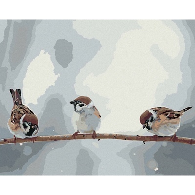 Zuty Malování Podle Čísel Malí Ptáčci Na Větvi 80 x 100 cm Plátno Rám